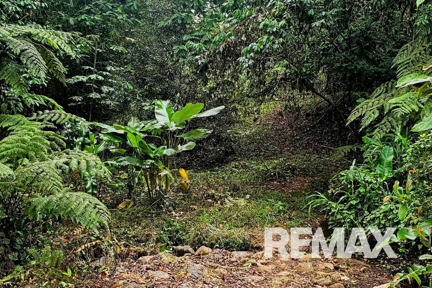 Beautiful Riverside Property in La Tigra – Great Value at ¢50,000,000, photo 4