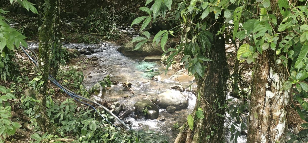 13,000 m² Finca with River, Tilapia Pond & Farm Infrastructure – Peñas Blancas, photo 2
