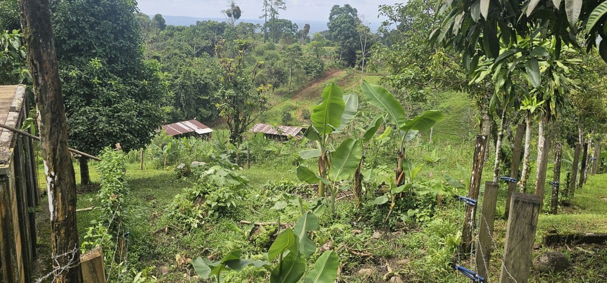 13,000 m² Finca with River, Tilapia Pond & Farm Infrastructure – Peñas Blancas, photo 11