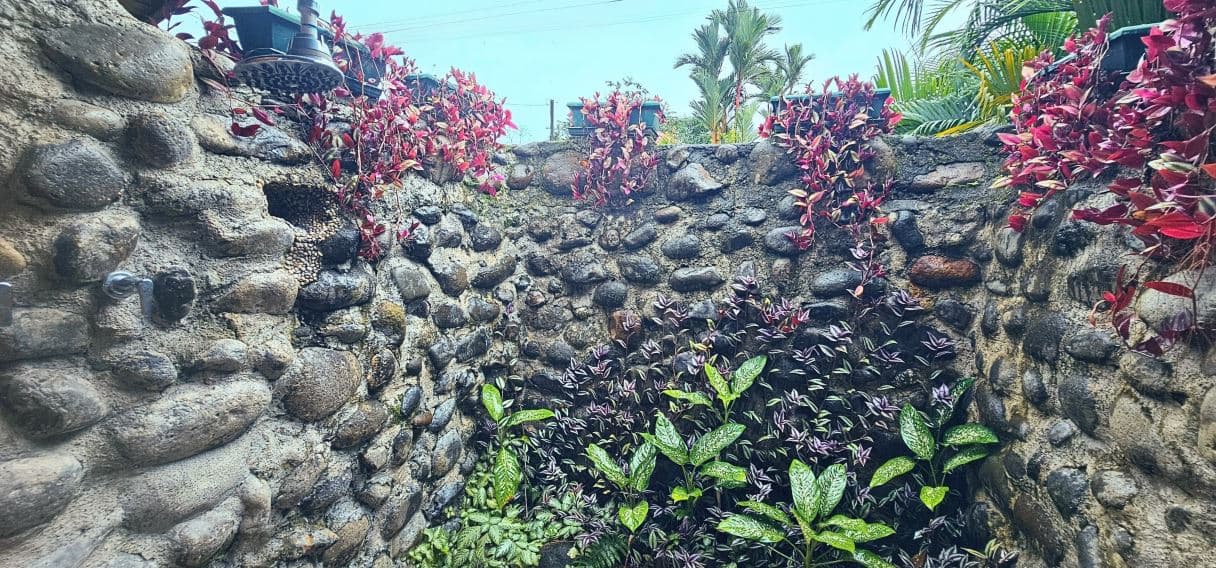 Turnkey Airbnb Property for sale with 3 Cabins Near La Fortuna, photo 16