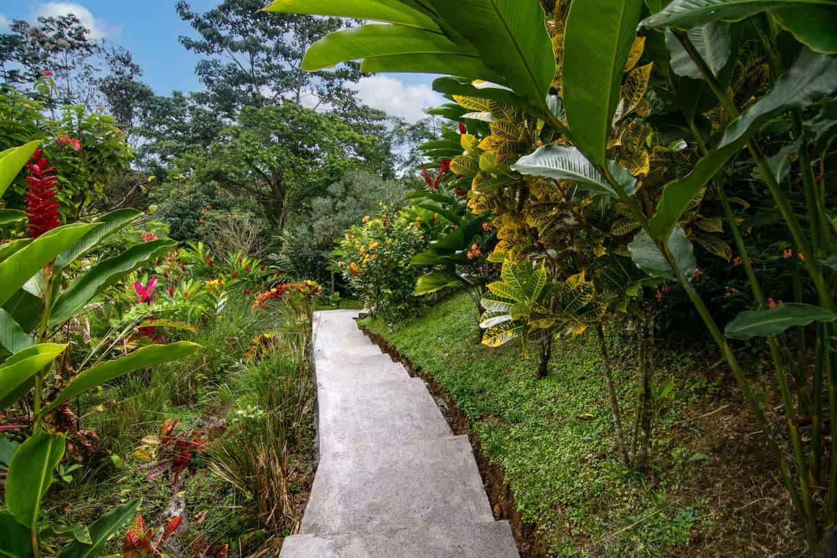 Two Homes, One Amazing Investment for sale near La Fortuna, photo 29
