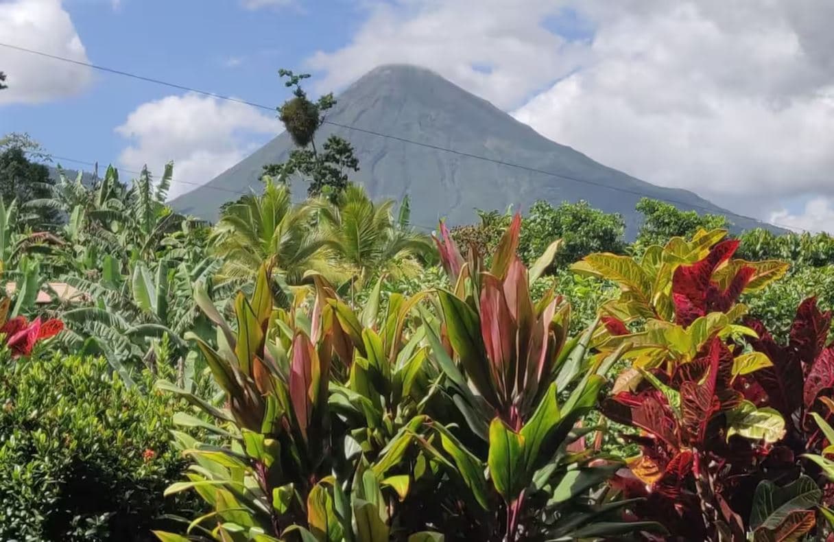 Two Homes, One Amazing Investment for sale near La Fortuna, photo 3