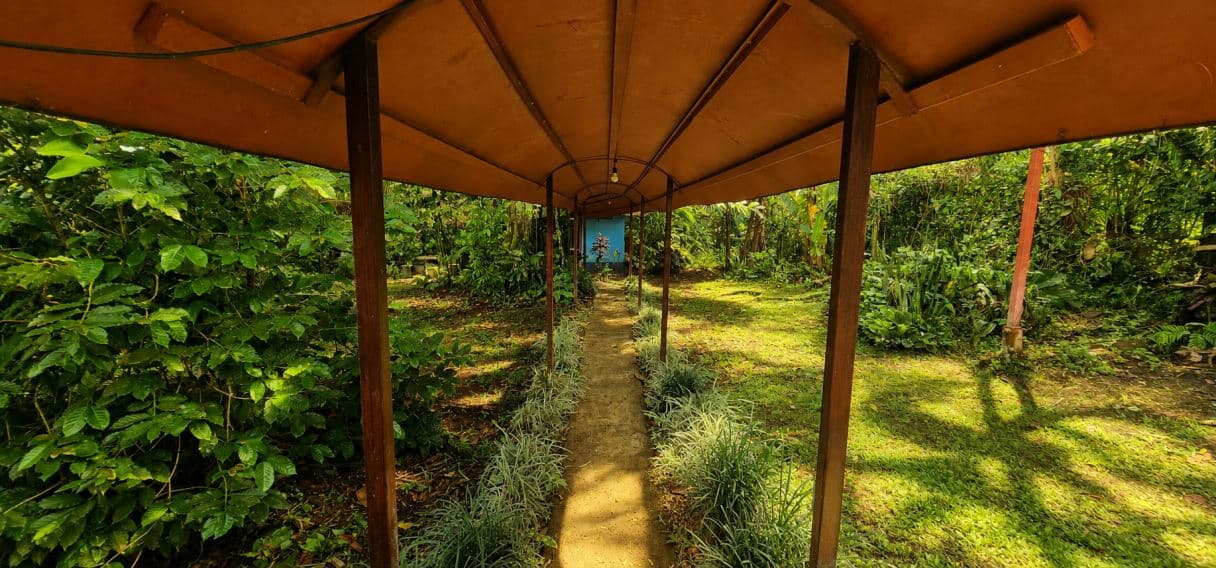 Beautiful Retreat with Rental Potential for sale in Agua Zarcas, photo 19