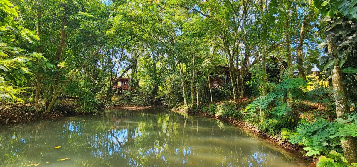 Income-Producing Nature Retreat for sale in Chachagua, La Fortuna, photo 22