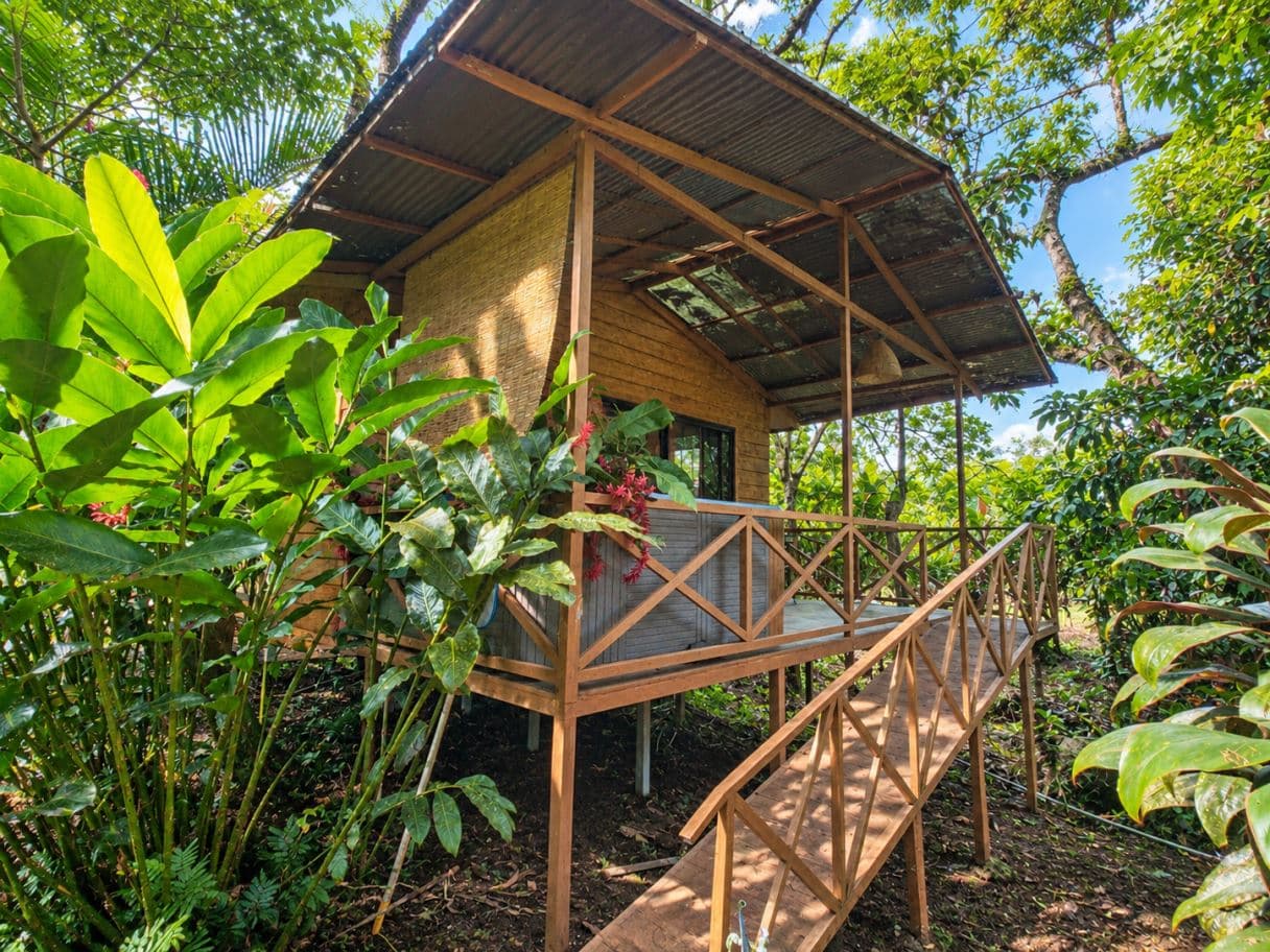 Income-Producing Nature Retreat for sale in Chachagua, La Fortuna