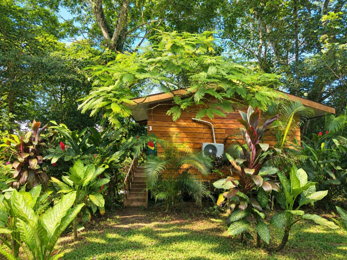 Income-Producing Nature Retreat for sale in Chachagua, La Fortuna, photo 2