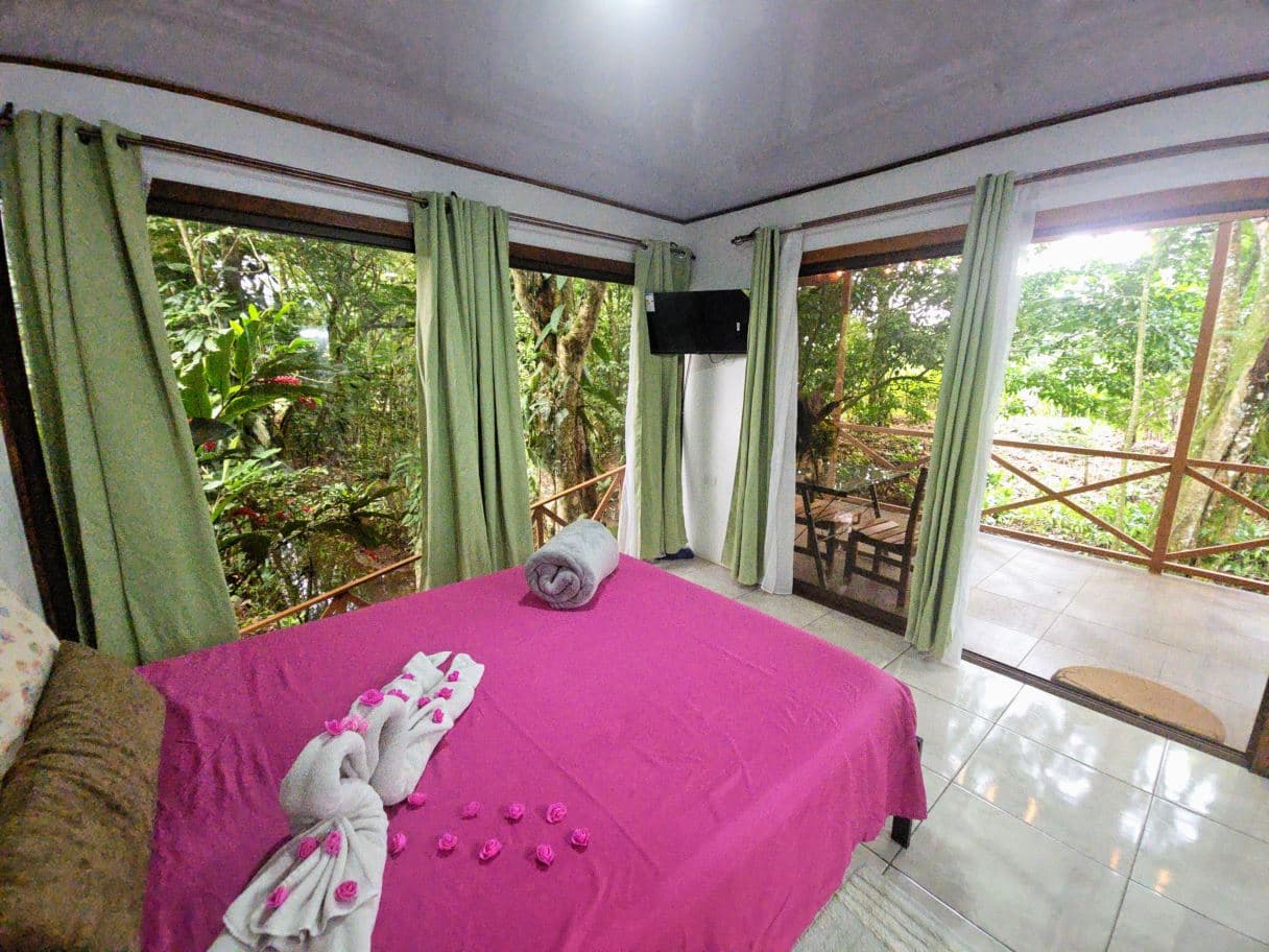 Income-Producing Nature Retreat for sale in Chachagua, La Fortuna, photo 13