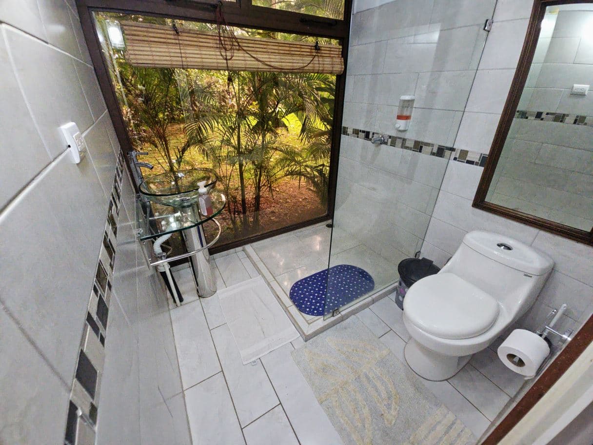 Income-Producing Nature Retreat for sale in Chachagua, La Fortuna, photo 15