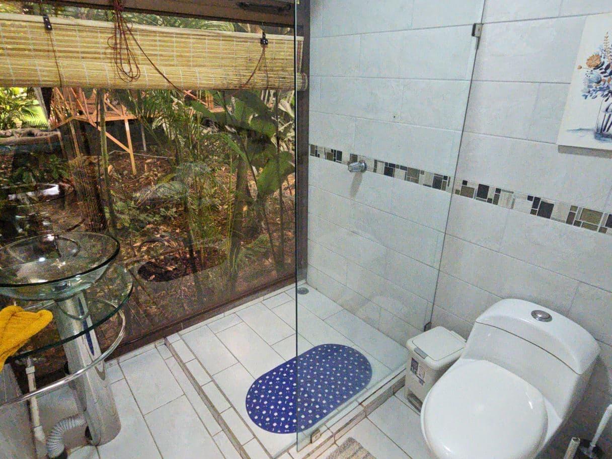 Income-Producing Nature Retreat for sale in Chachagua, La Fortuna, photo 9