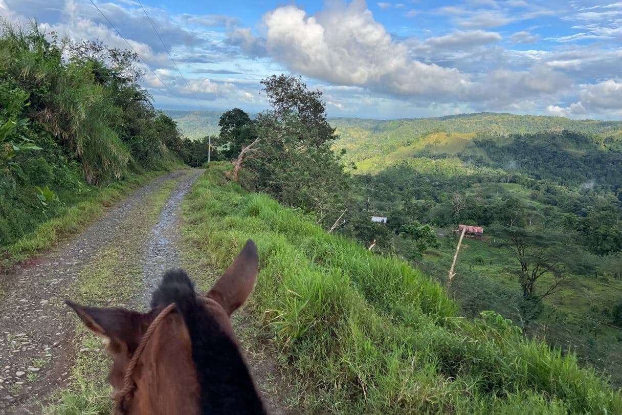 Beautiful Country Home for sale with Expansive Land in Venado, La Fortuna, photo 13