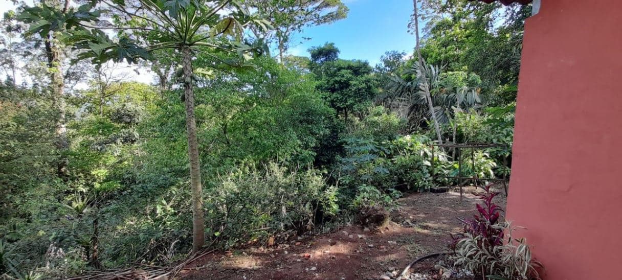 A Rare Tourism Opportunity on Costa Rica’s National Route 702, photo 12
