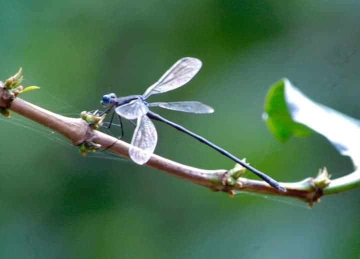 A Rare Tourism Opportunity on Costa Rica’s National Route 702, photo 13