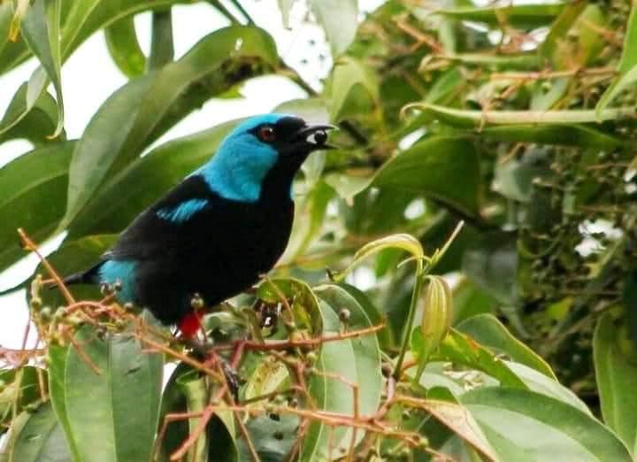 A Rare Tourism Opportunity on Costa Rica’s National Route 702, photo 15