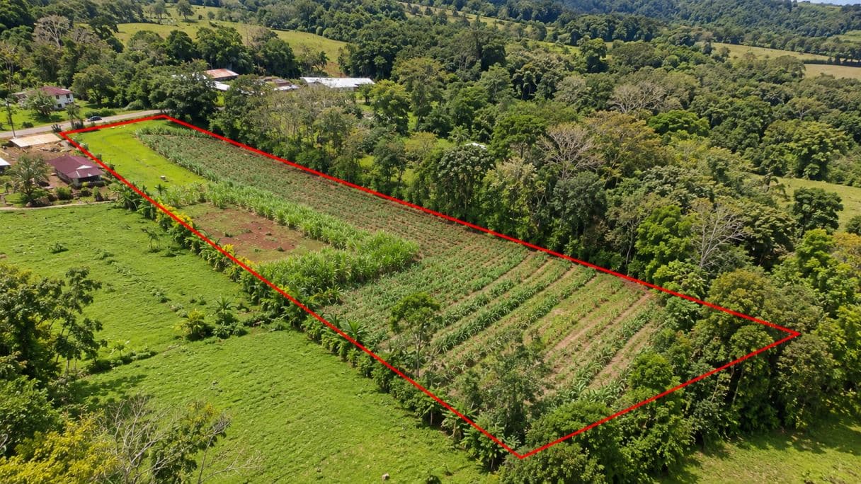 Prime Buildable Land for sale in Chachagua – 6,988 m², photo 4