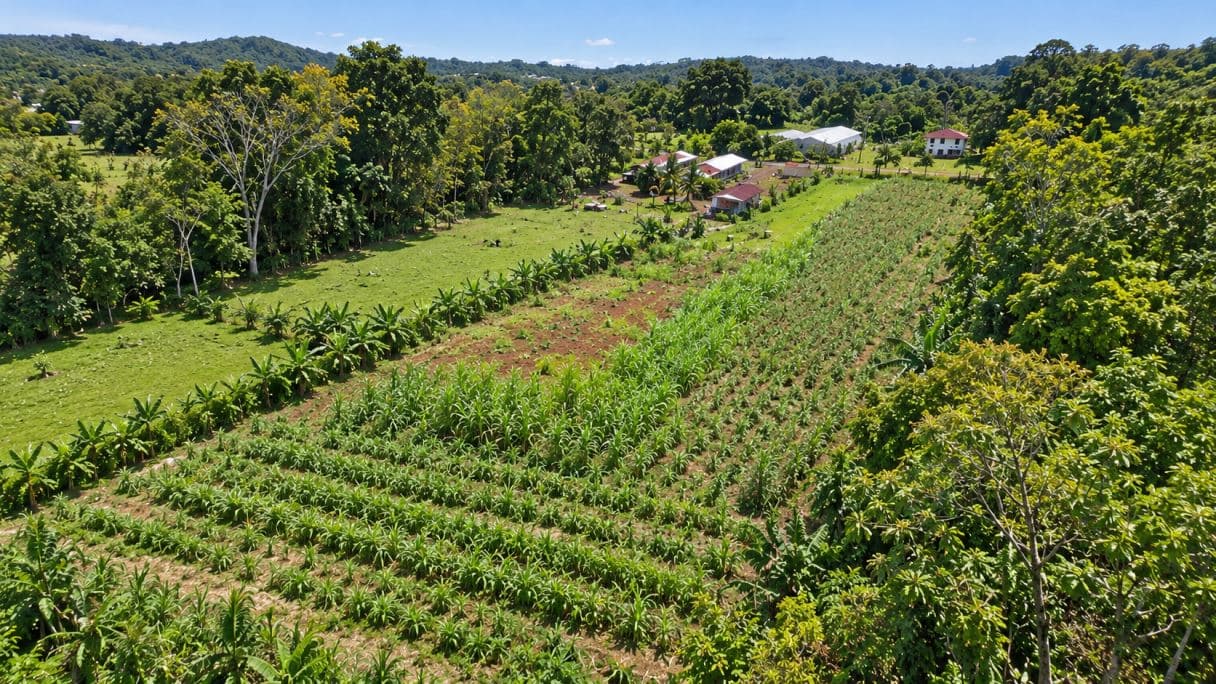Prime Buildable Land for sale in Chachagua – 6,988 m², photo 5