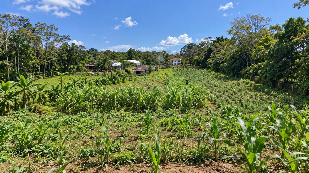 Prime Buildable Land for sale in Chachagua – 6,988 m², photo 2
