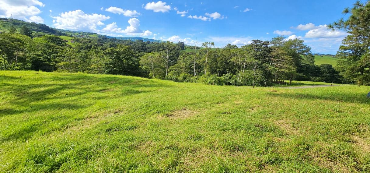 Create Your Dream Home or Airbnb Retreat – 5,936 m² for sale in Ciudad Quesada, photo 6