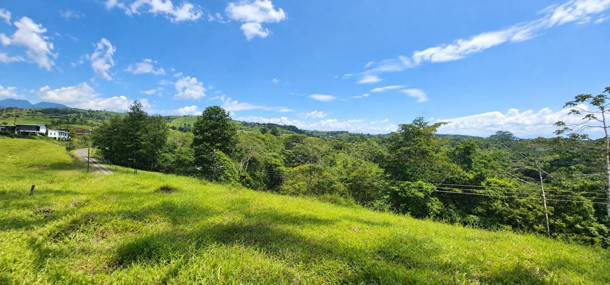 Create Your Dream Home or Airbnb Retreat – 5,936 m² for sale in Ciudad Quesada, photo 2