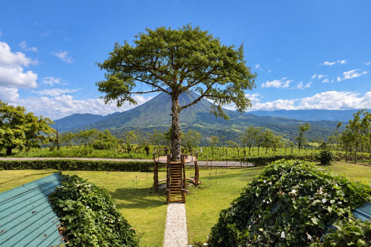 Wake Up to Arenal – Six Cabins, Established Income & Room to Expand, photo 4