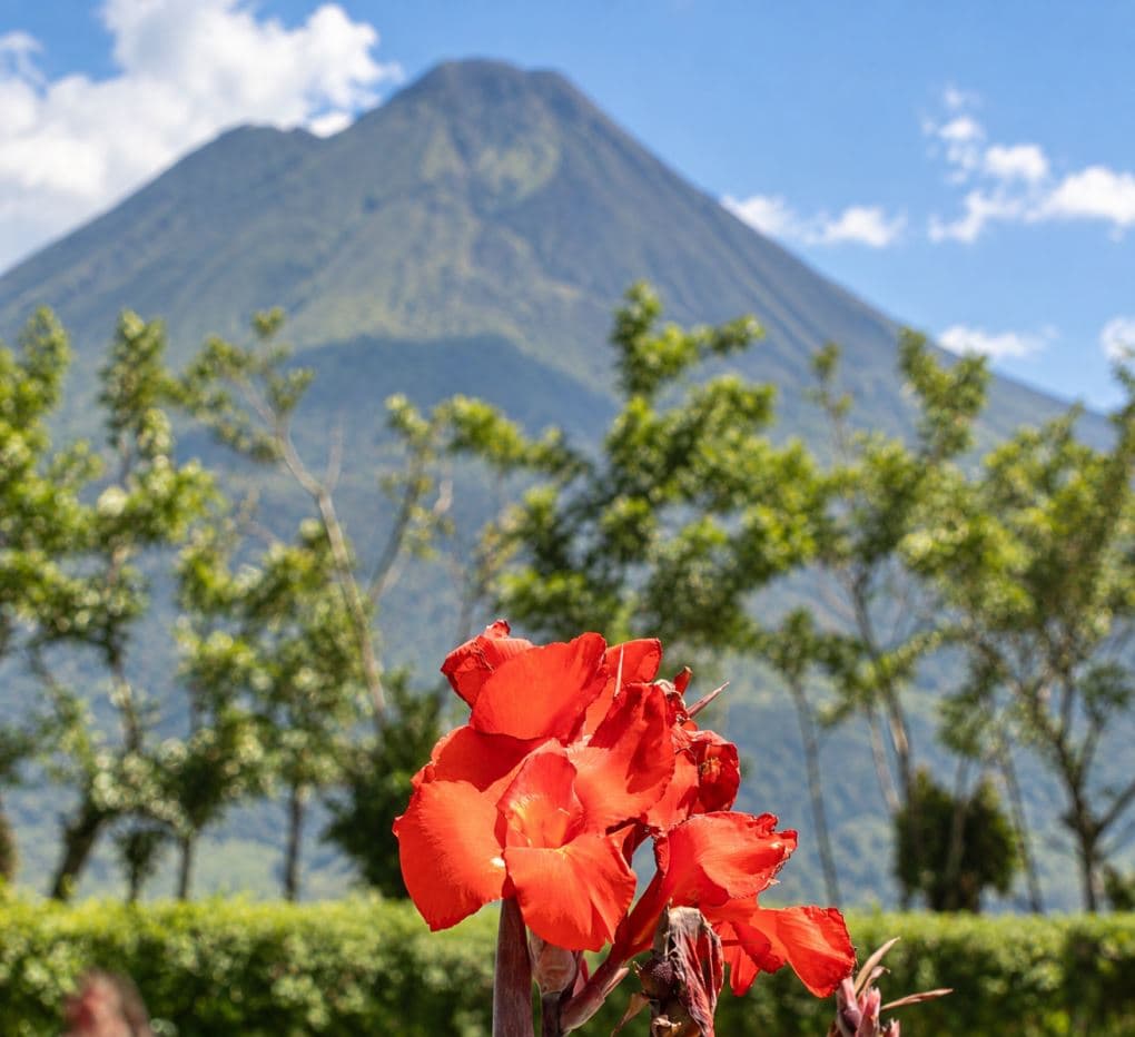 Wake Up to Arenal – Six Cabins, Established Income & Room to Expand, photo 26