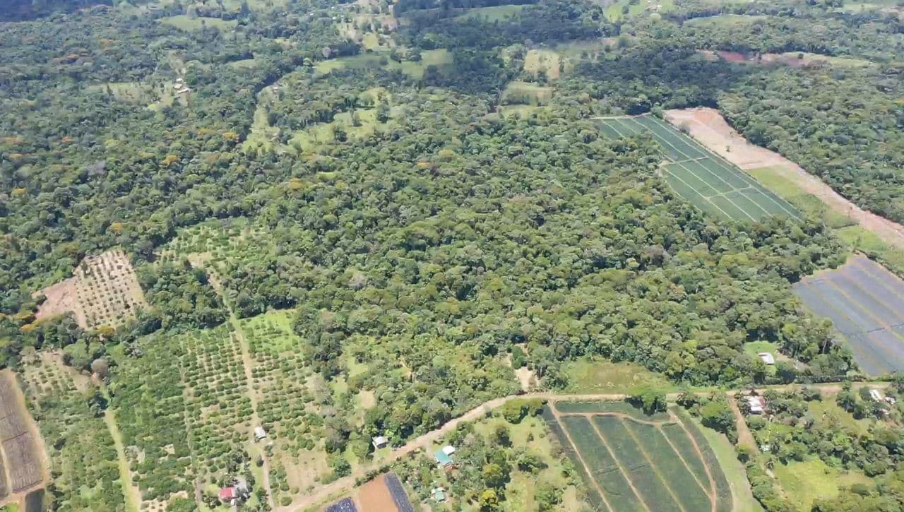 Mountain Land for Sale in Costa Rica – Forested Property, photo 3
