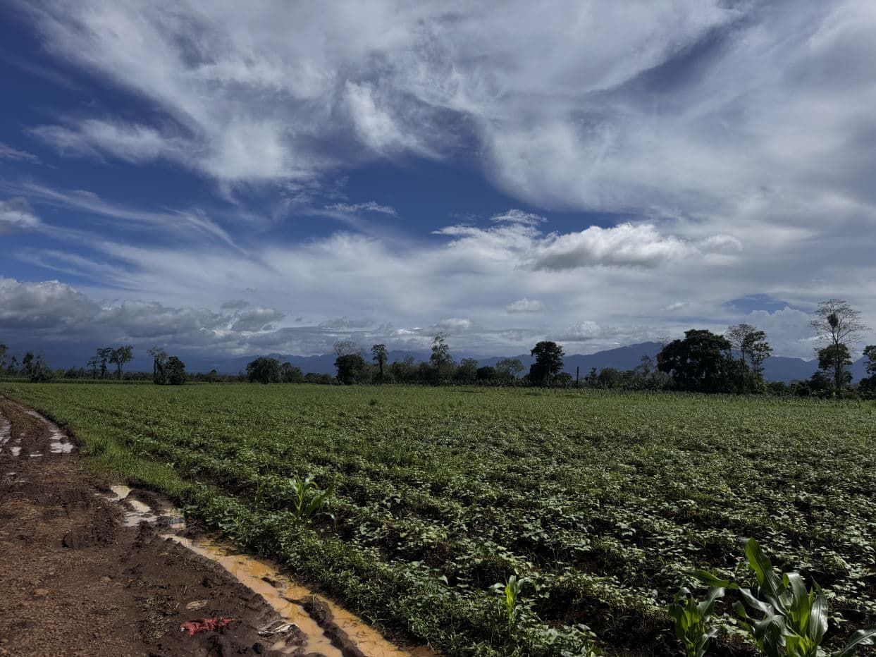 Arenal Volcano view 34 acres investment property, photo 3