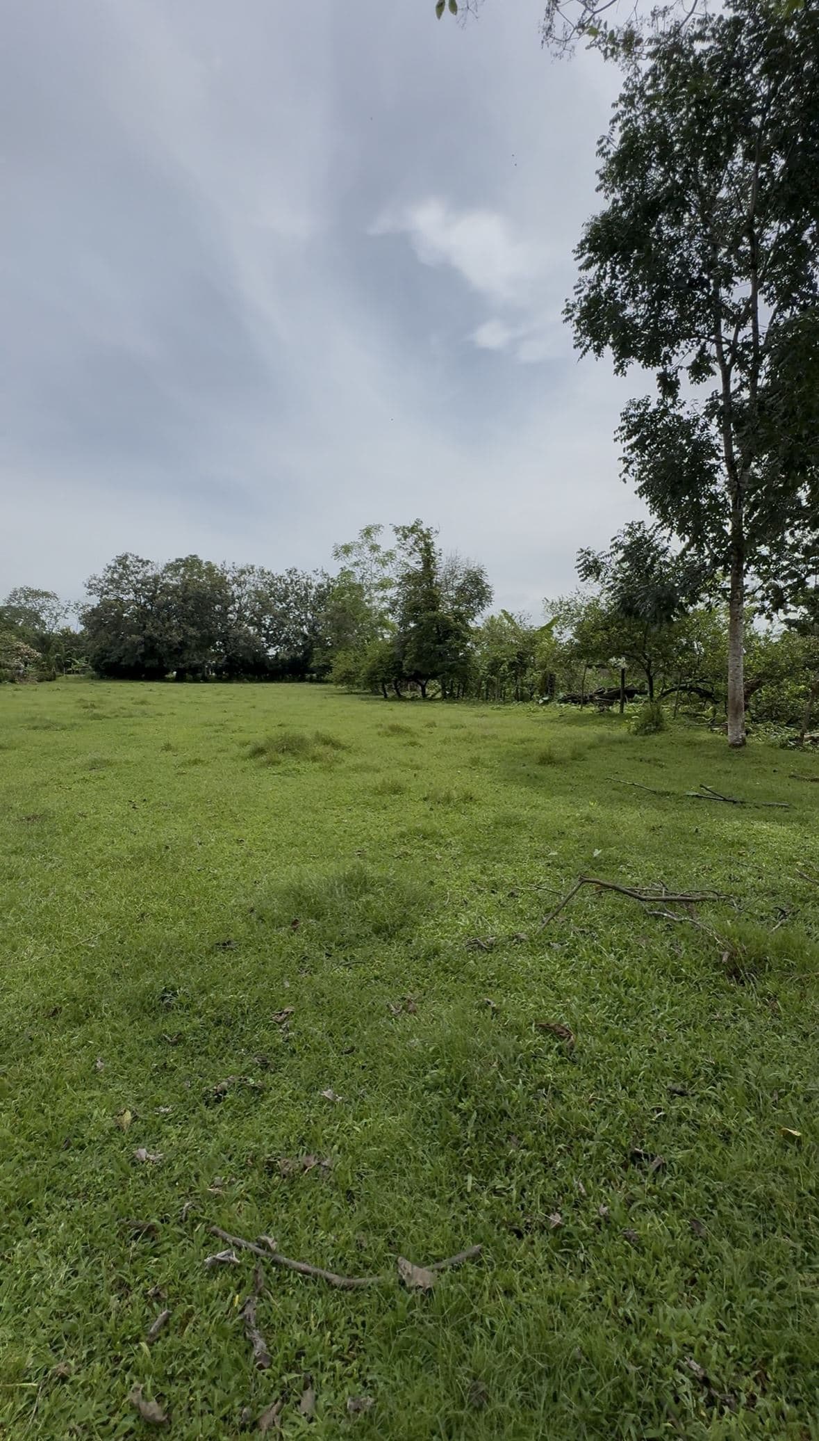 Riverside Land Just 5 Miles from La Fortuna – 6,284 m², photo 5
