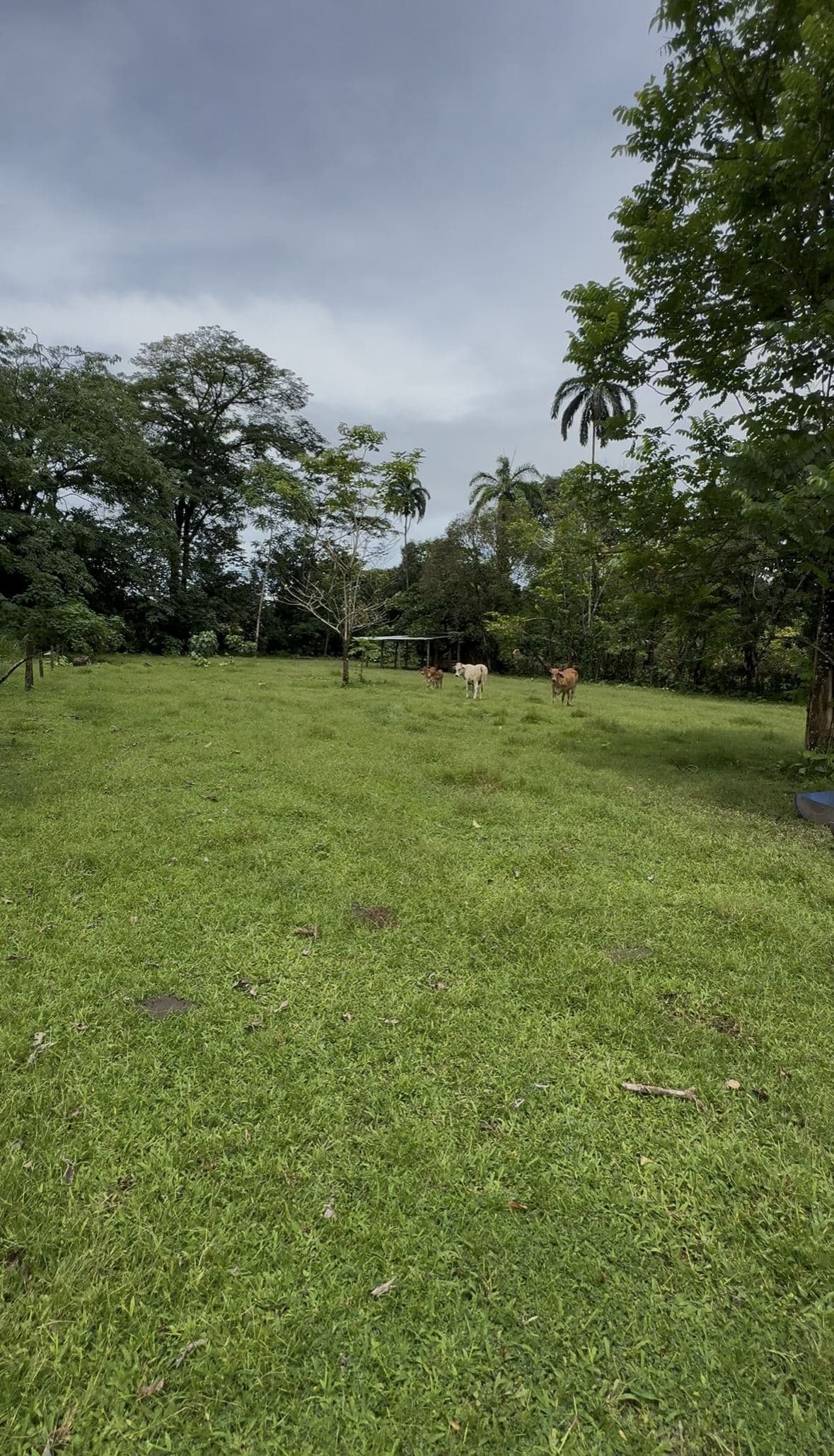 Riverside Land Just 5 Miles from La Fortuna – 6,284 m², photo 9