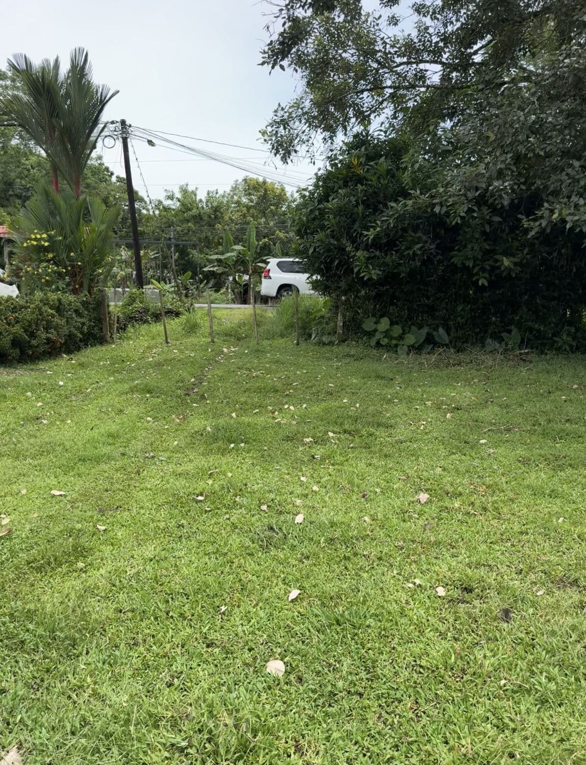 Riverside Land Just 5 Miles from La Fortuna – 6,284 m², photo 2