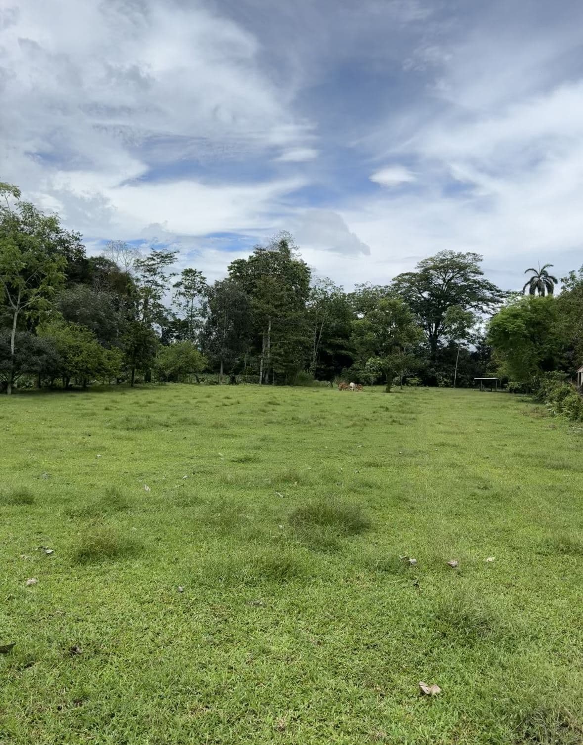 Riverside Land Just 5 Miles from La Fortuna – 6,284 m²