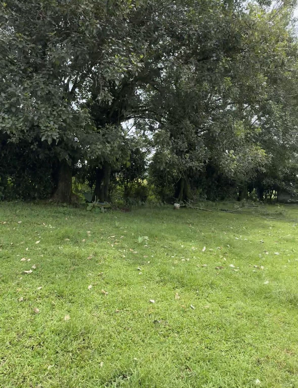 Riverside Land Just 5 Miles from La Fortuna – 6,284 m², photo 4