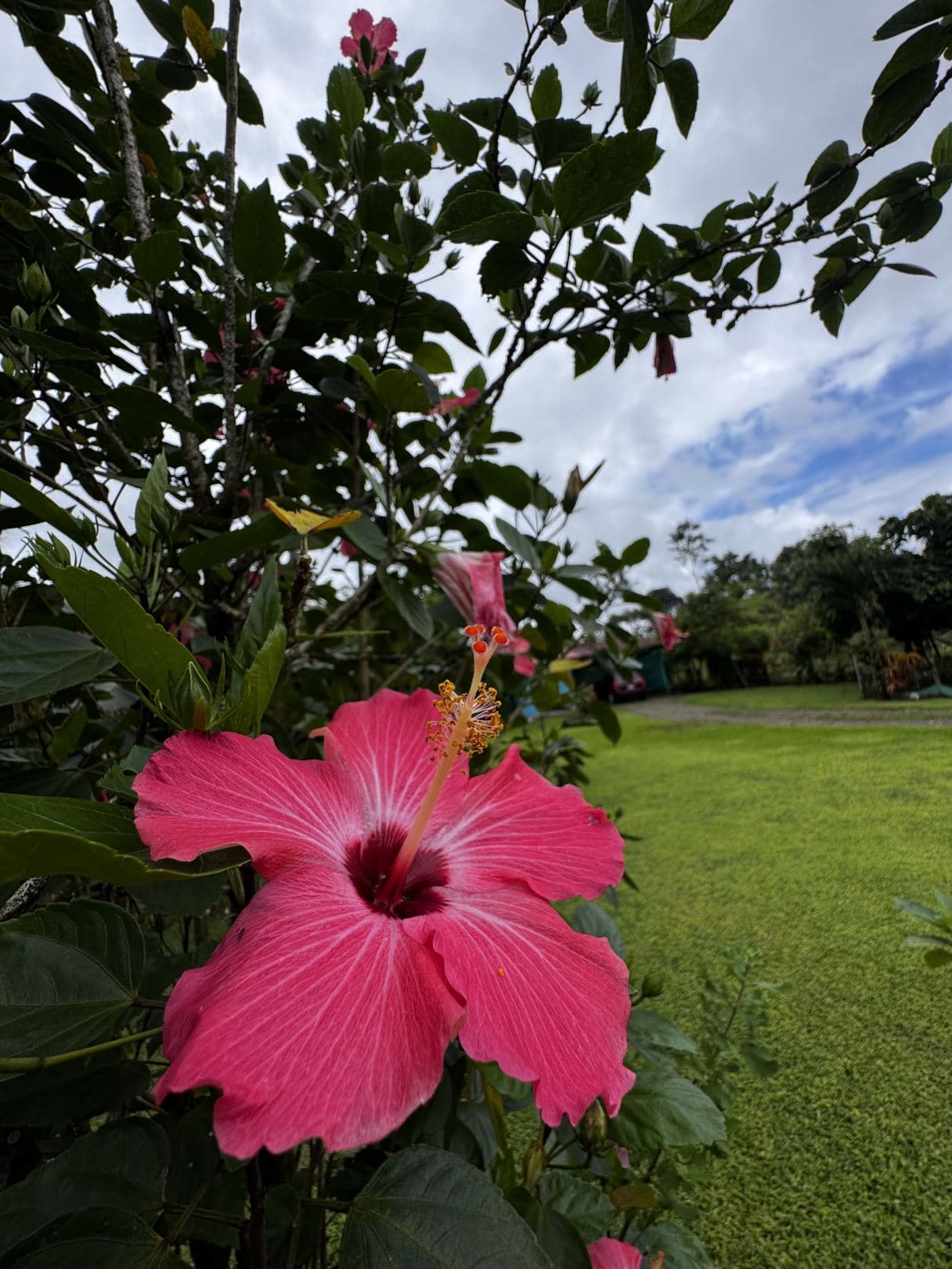 Spacious Property with Fruit Trees and Home for Sale – $85000, photo 10