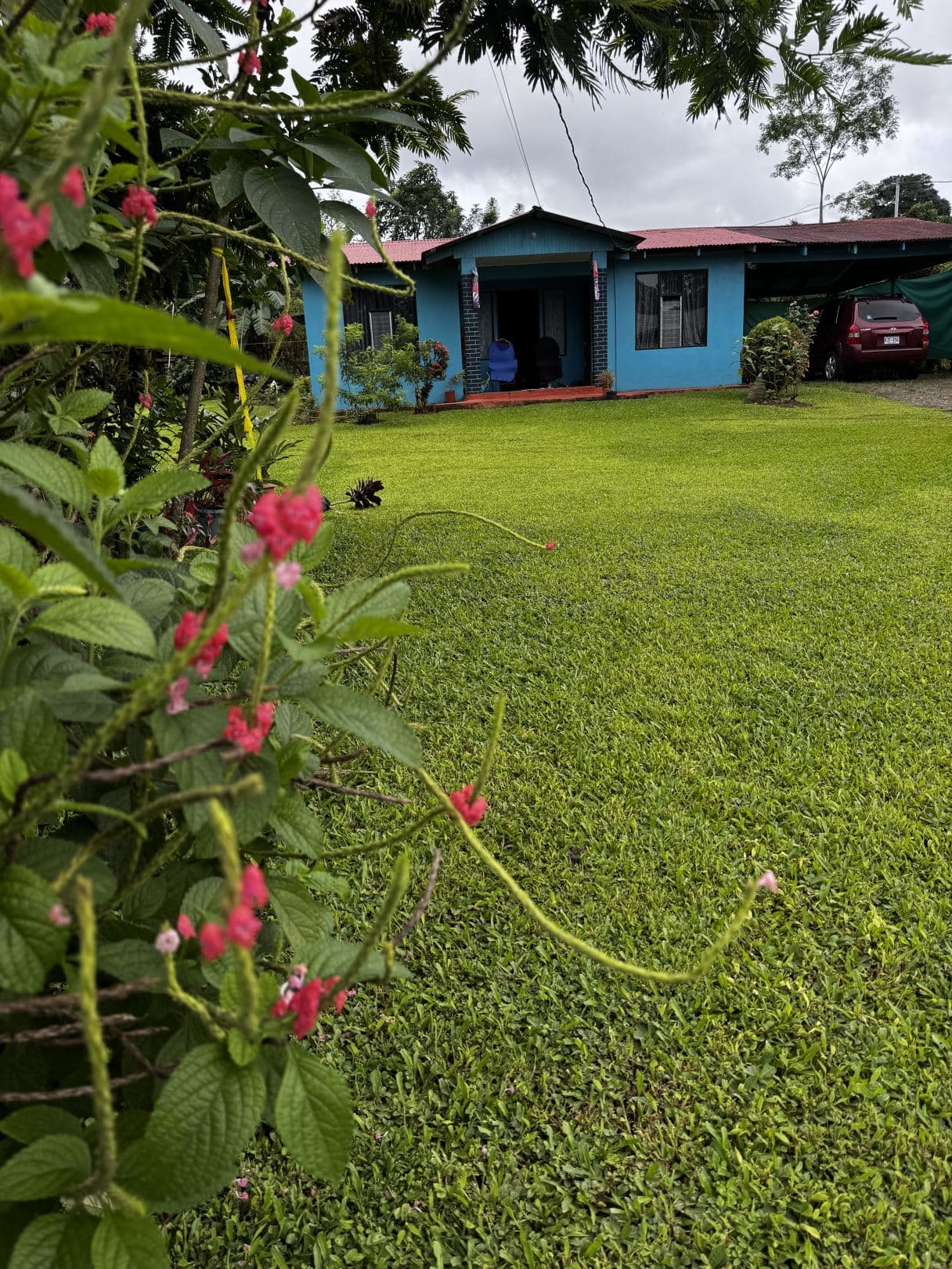 Spacious Property with Fruit Trees and Home for Sale – $85000, photo 4