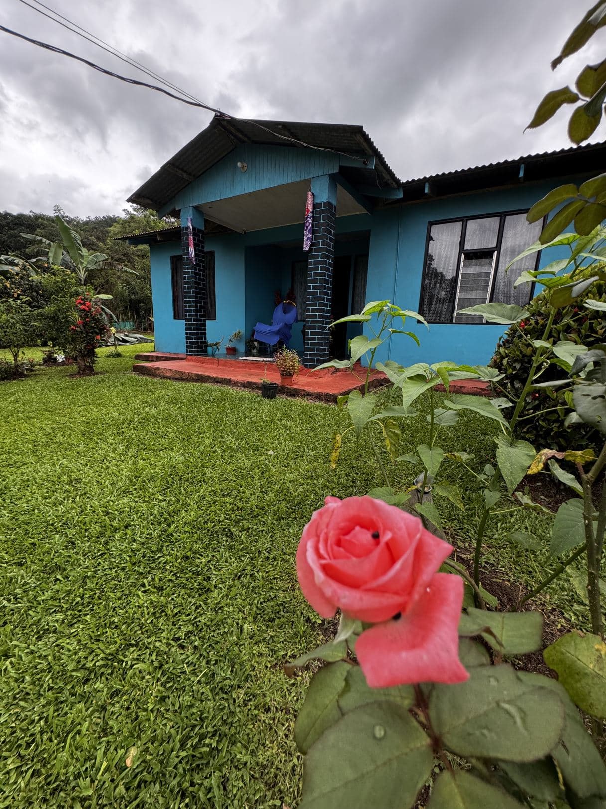 Spacious Property with Fruit Trees and Home for Sale – $85000
