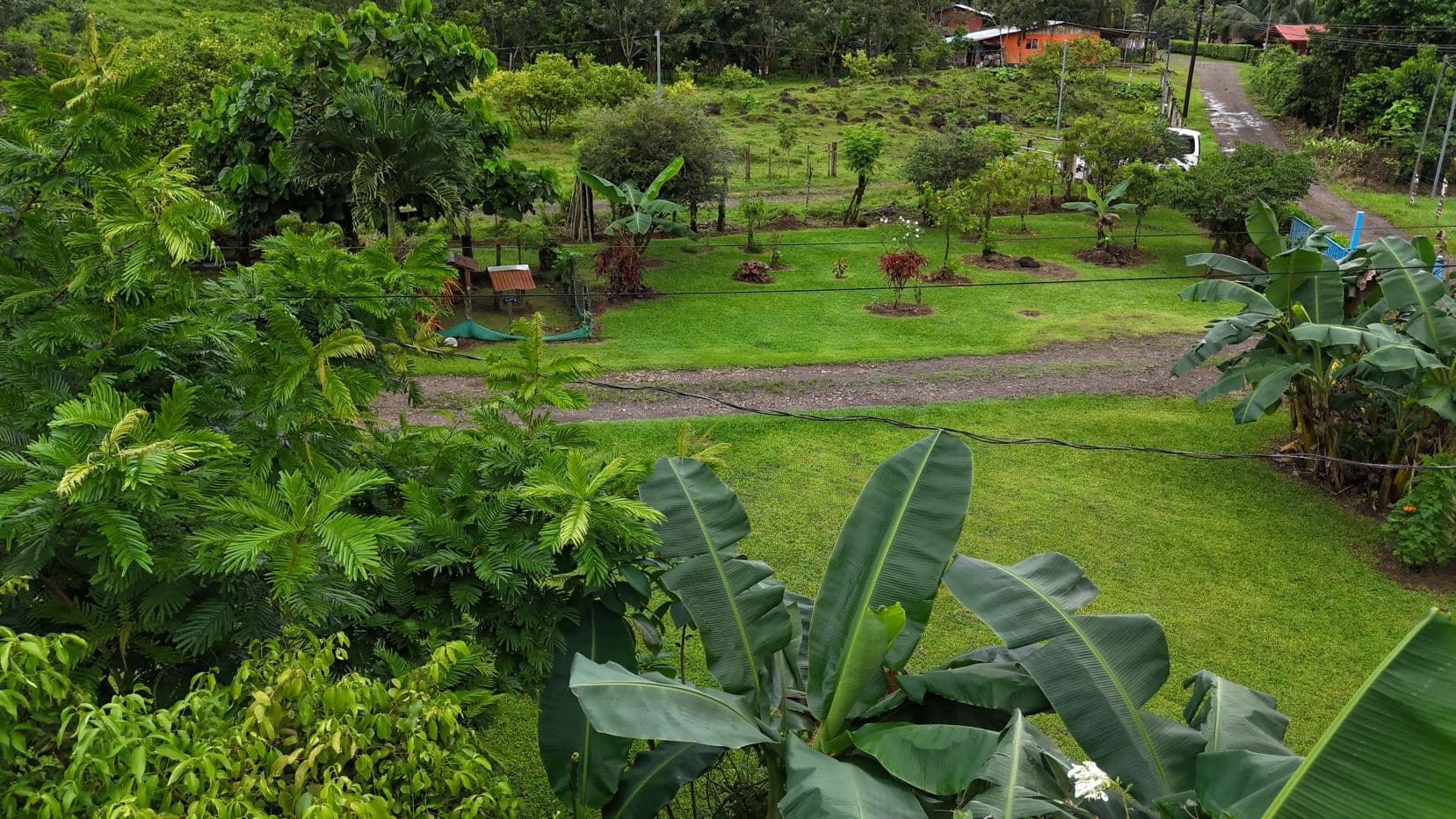 Spacious Property with Fruit Trees and Home for Sale – $85000, photo 27