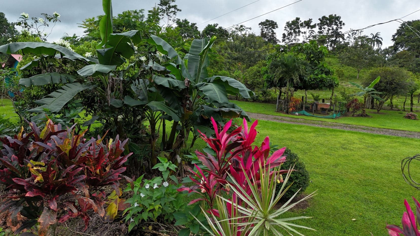 Spacious Property with Fruit Trees and Home for Sale – $85000, photo 29