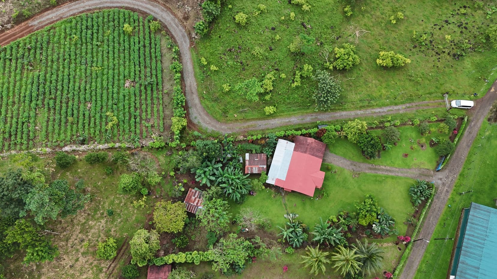 Spacious Property with Fruit Trees and Home for Sale – $85000, photo 25