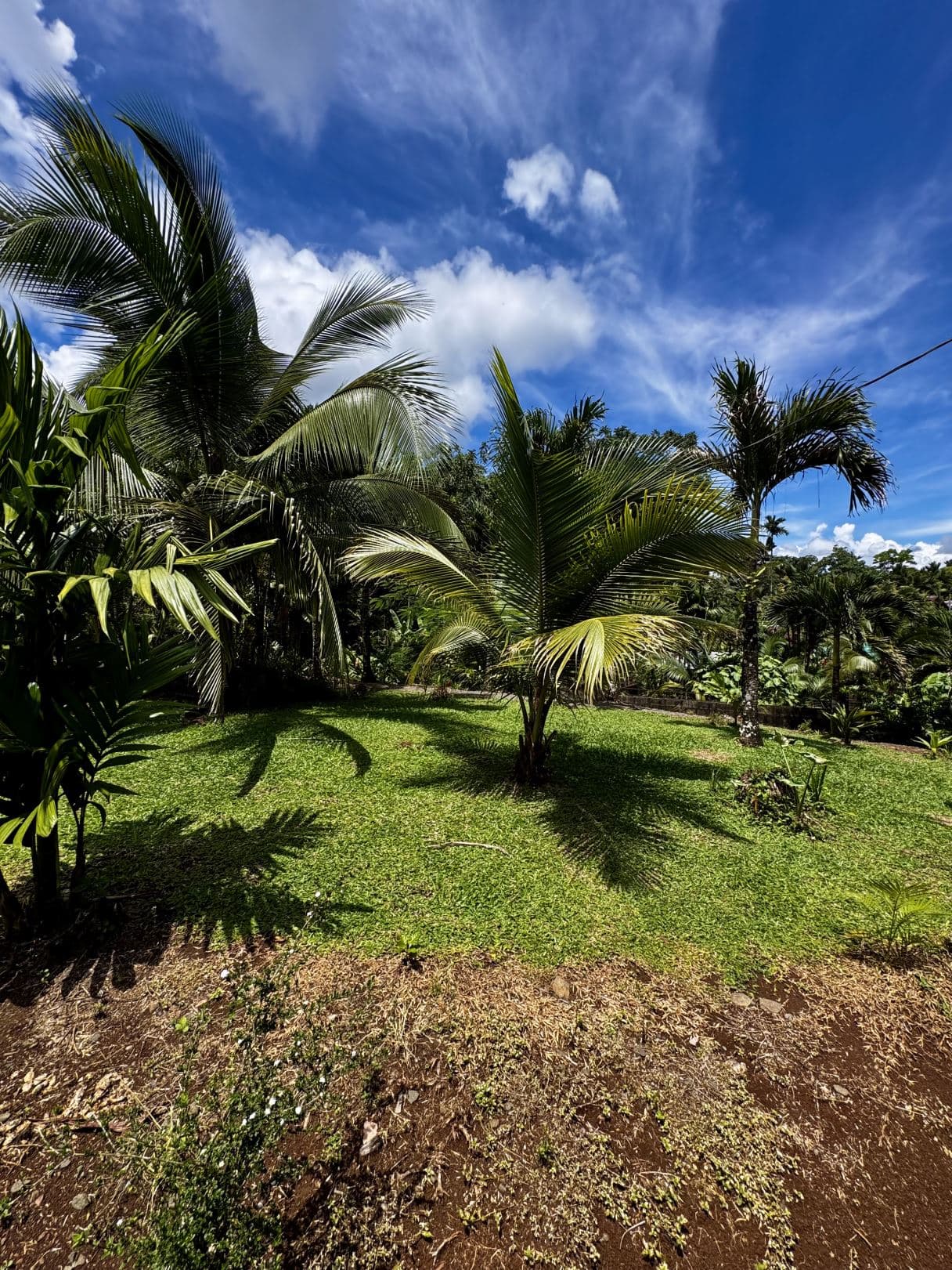 Property with Restaurant and Cabins for Sale near La Fortuna Costa Rica, photo 31