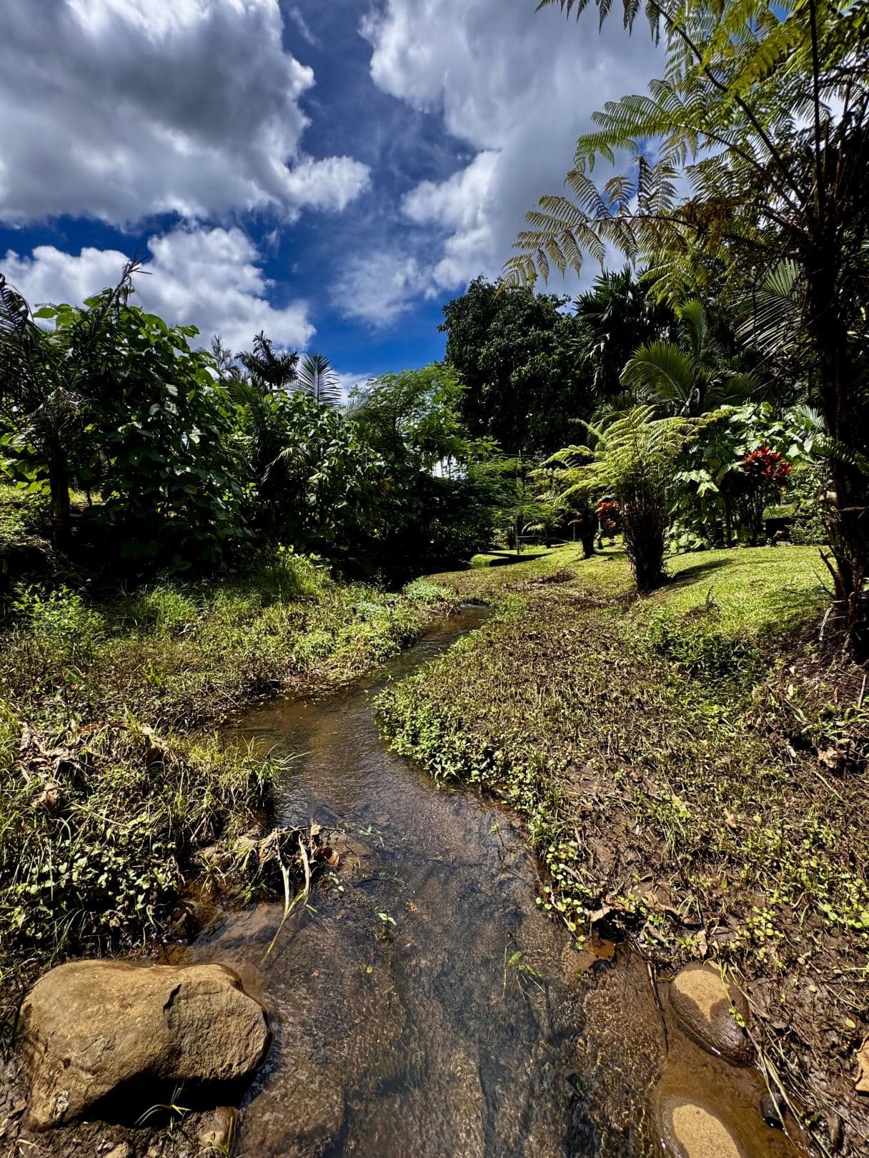 Property with Restaurant and Cabins for Sale near La Fortuna Costa Rica, photo 27