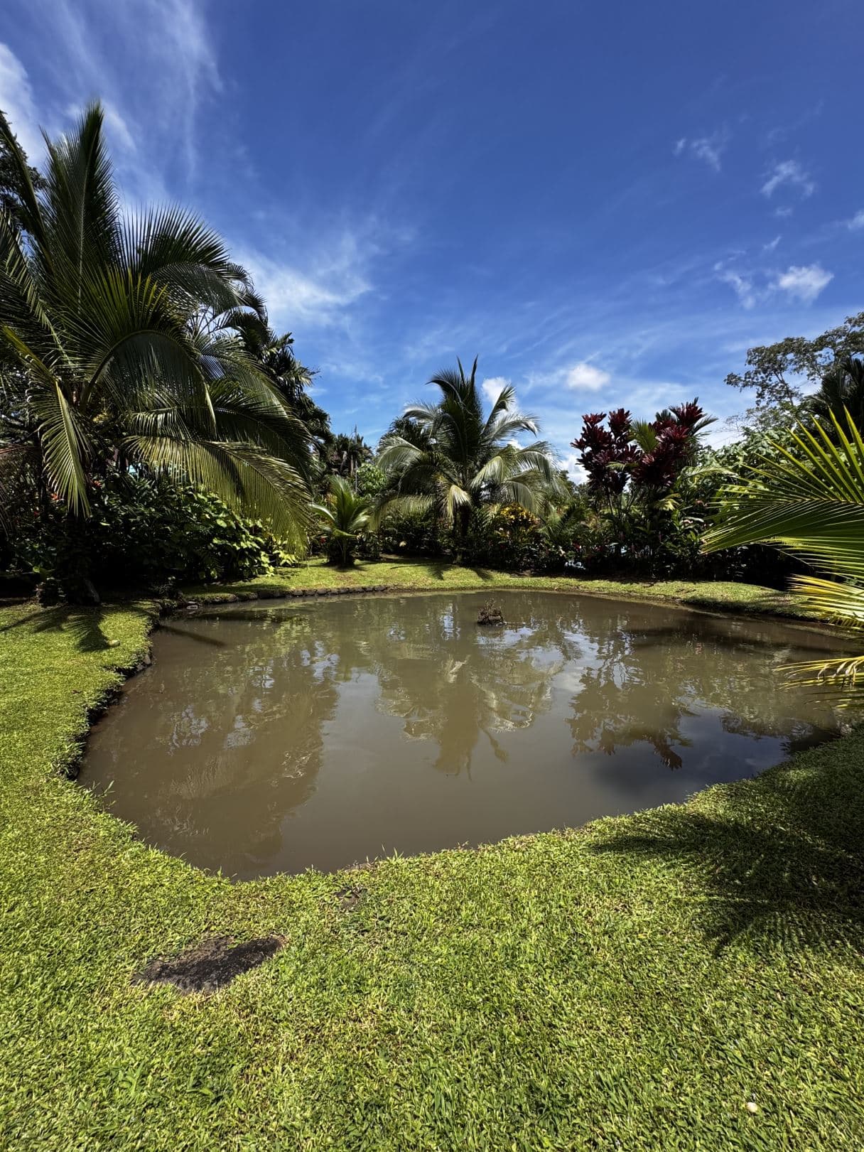 Property with Restaurant and Cabins for Sale near La Fortuna Costa Rica, photo 32