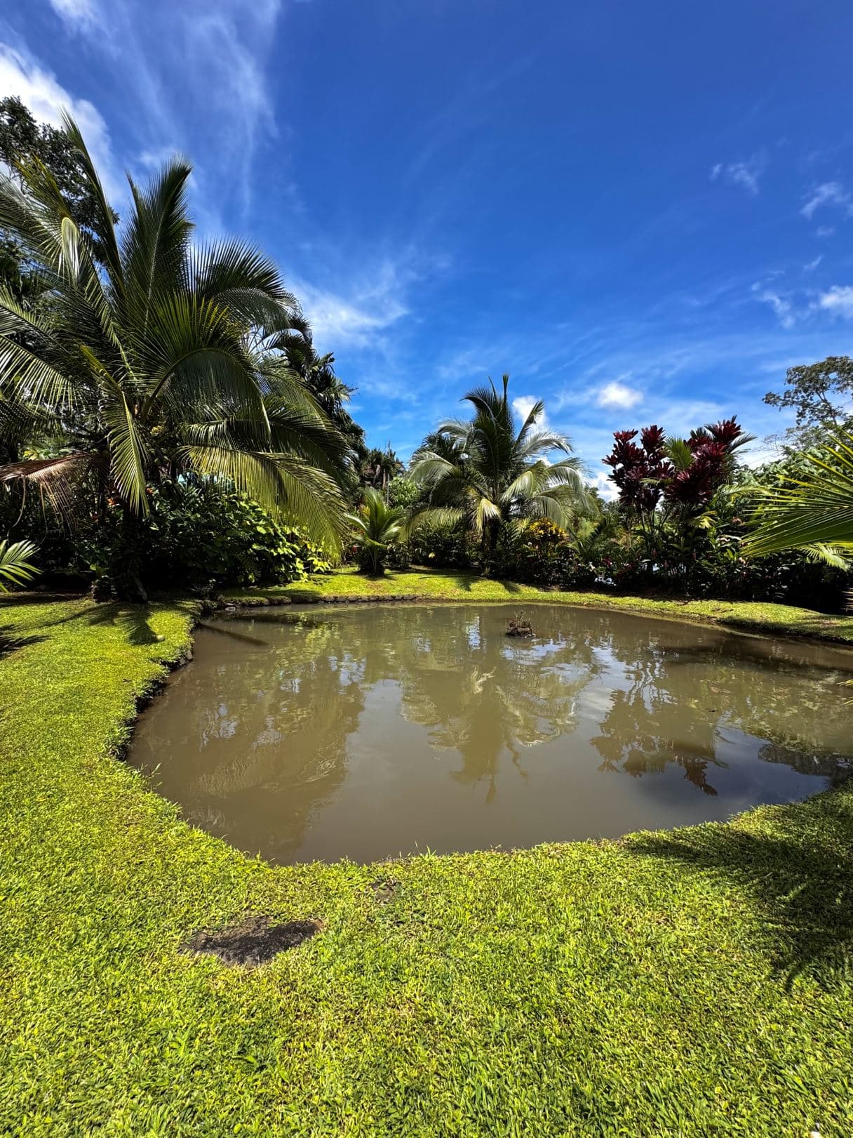 Property with Restaurant and Cabins for Sale near La Fortuna Costa Rica, photo 23