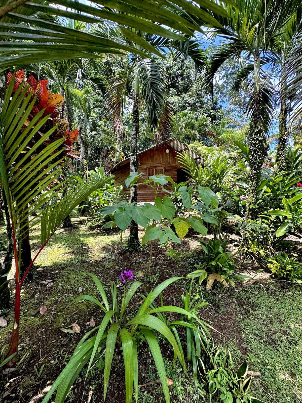 Property with Restaurant and Cabins for Sale near La Fortuna Costa Rica, photo 25