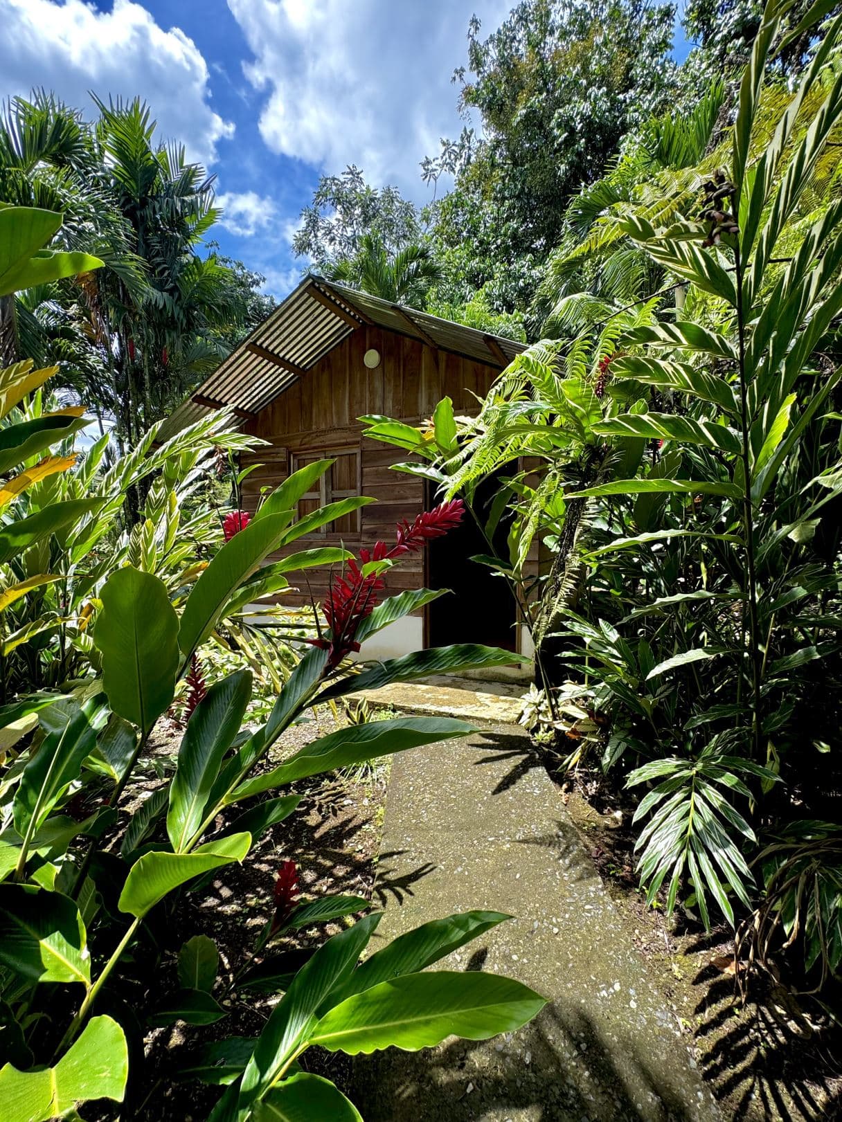 Property with Restaurant and Cabins for Sale near La Fortuna Costa Rica, photo 22