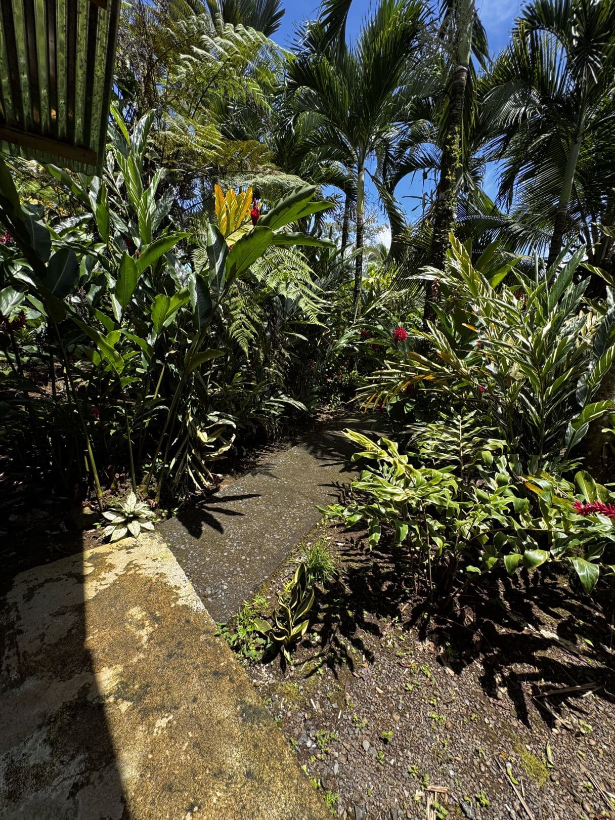 Property with Restaurant and Cabins for Sale near La Fortuna Costa Rica, photo 28