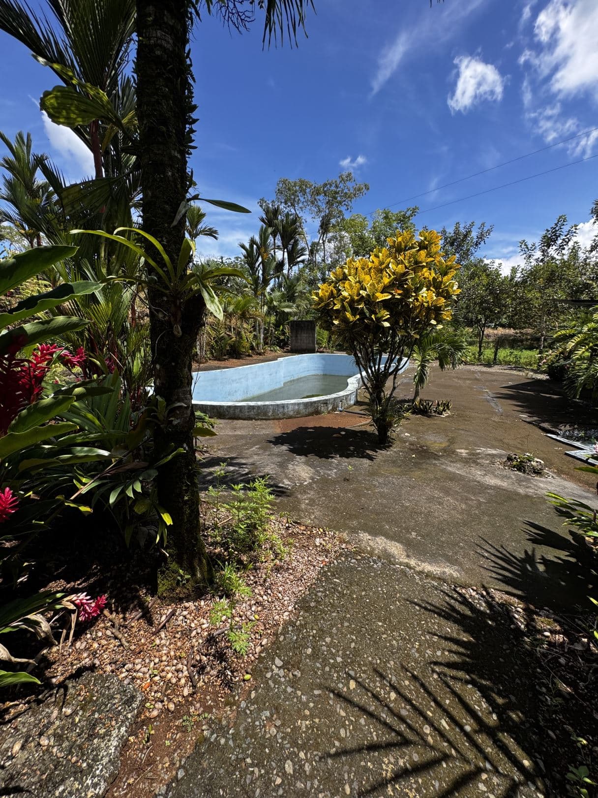 Property with Restaurant and Cabins for Sale near La Fortuna Costa Rica, photo 12