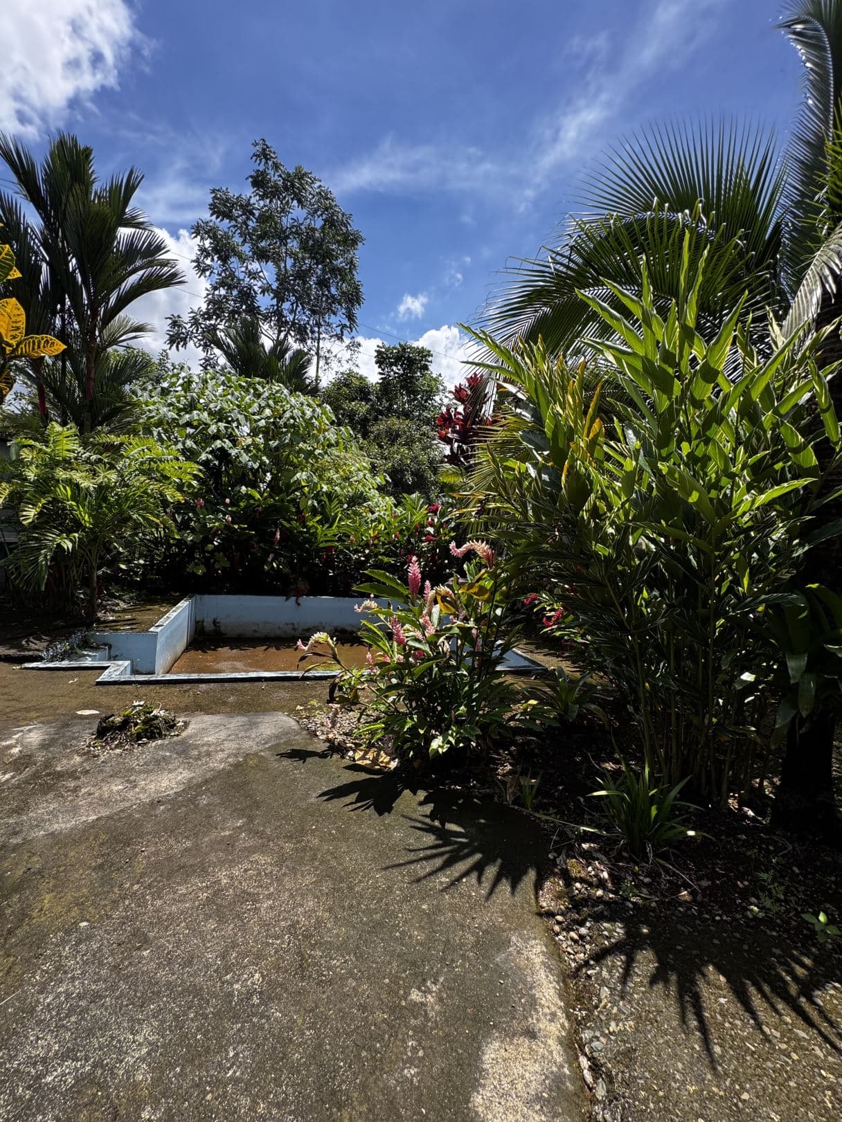 Property with Restaurant and Cabins for Sale near La Fortuna Costa Rica, photo 9
