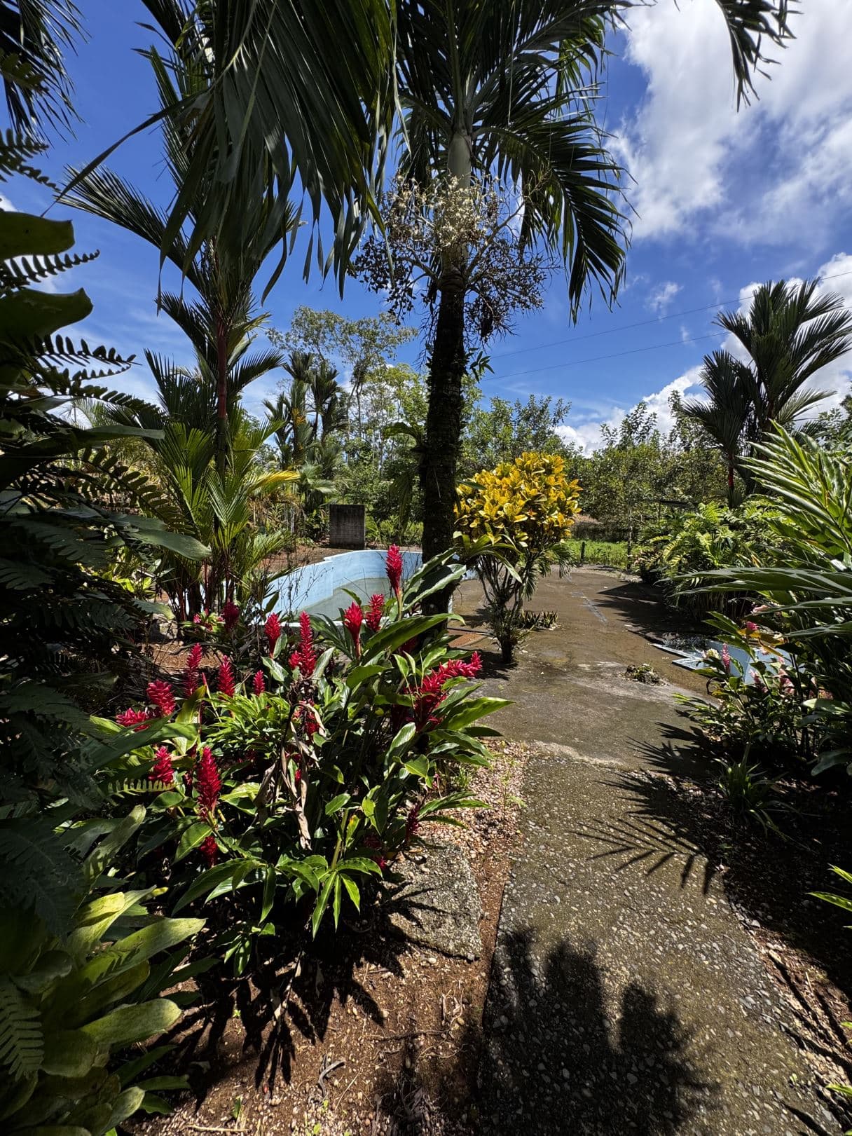 Property with Restaurant and Cabins for Sale near La Fortuna Costa Rica, photo 7