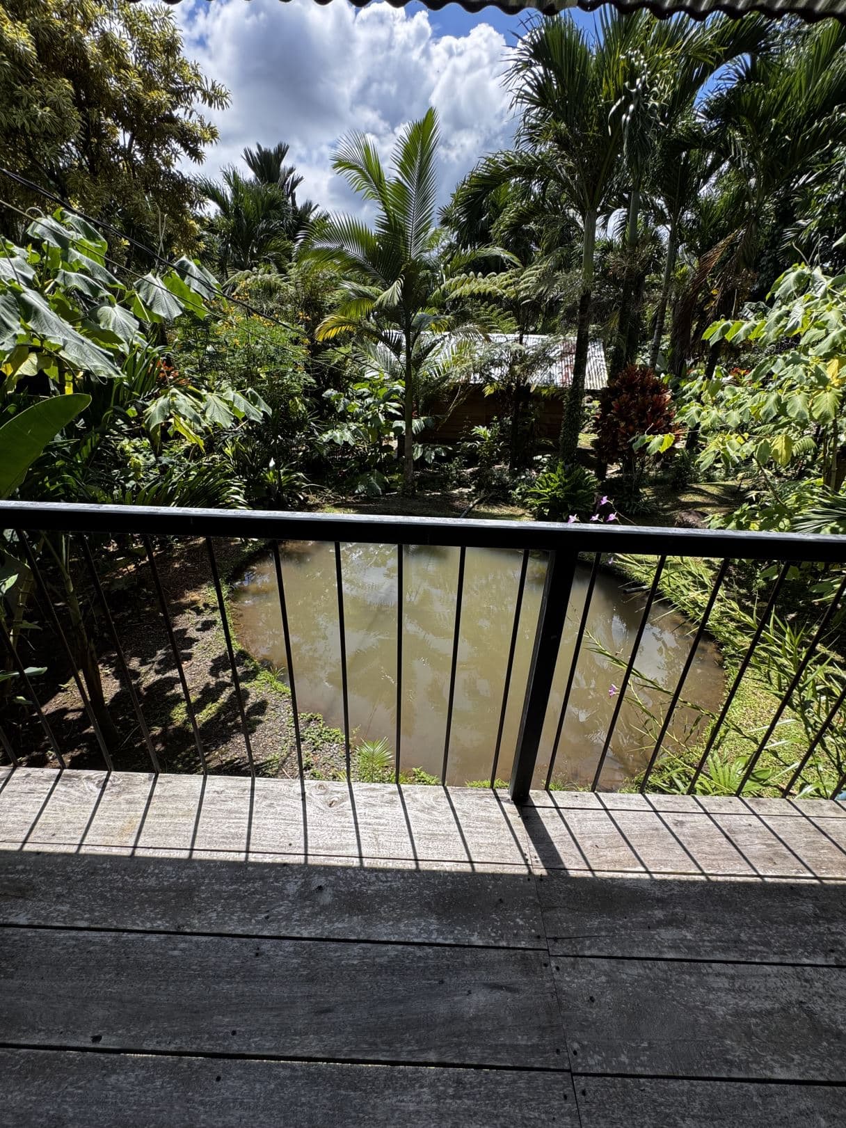 Property with Restaurant and Cabins for Sale near La Fortuna Costa Rica, photo 15