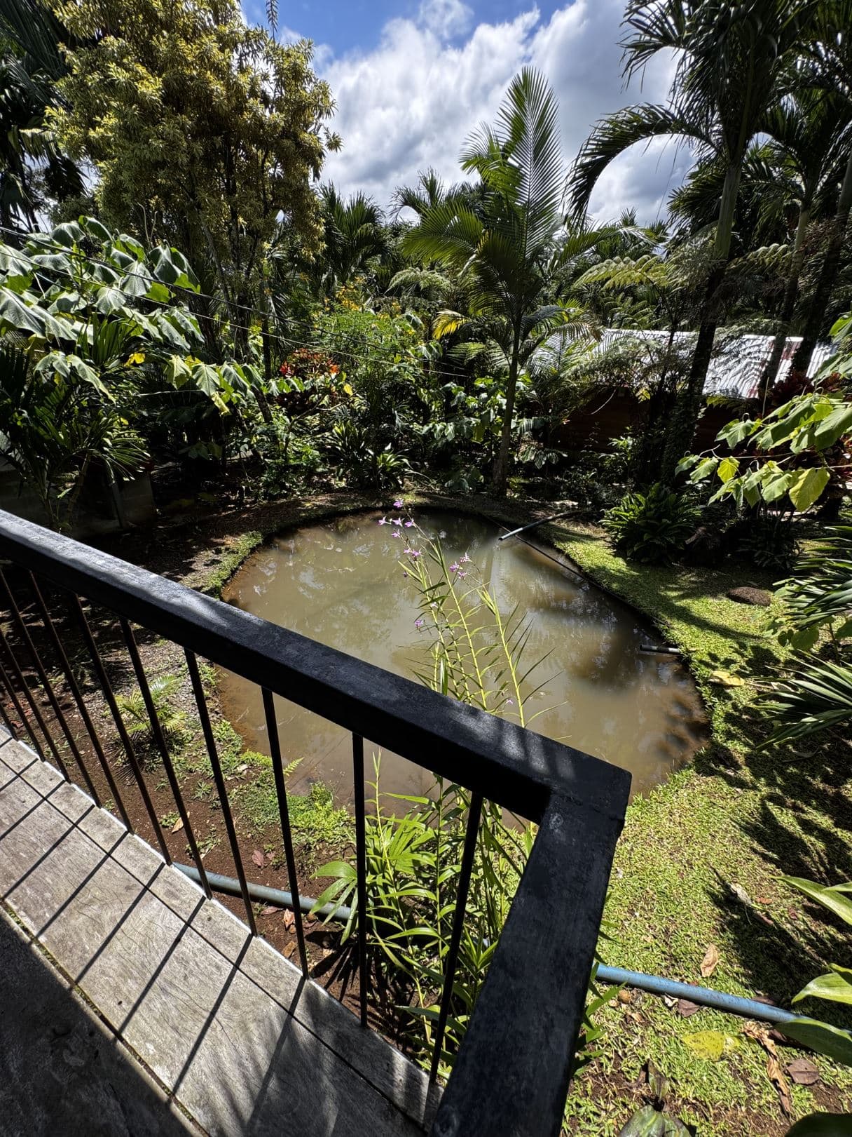 Property with Restaurant and Cabins for Sale near La Fortuna Costa Rica, photo 16