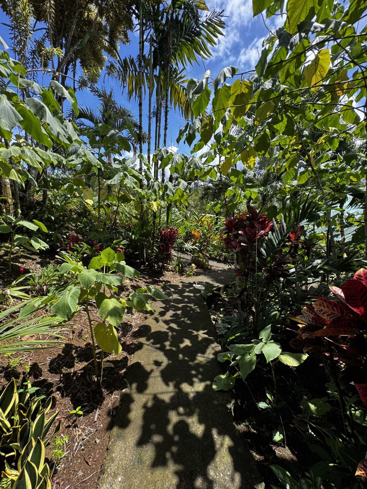 Property with Restaurant and Cabins for Sale near La Fortuna Costa Rica, photo 21